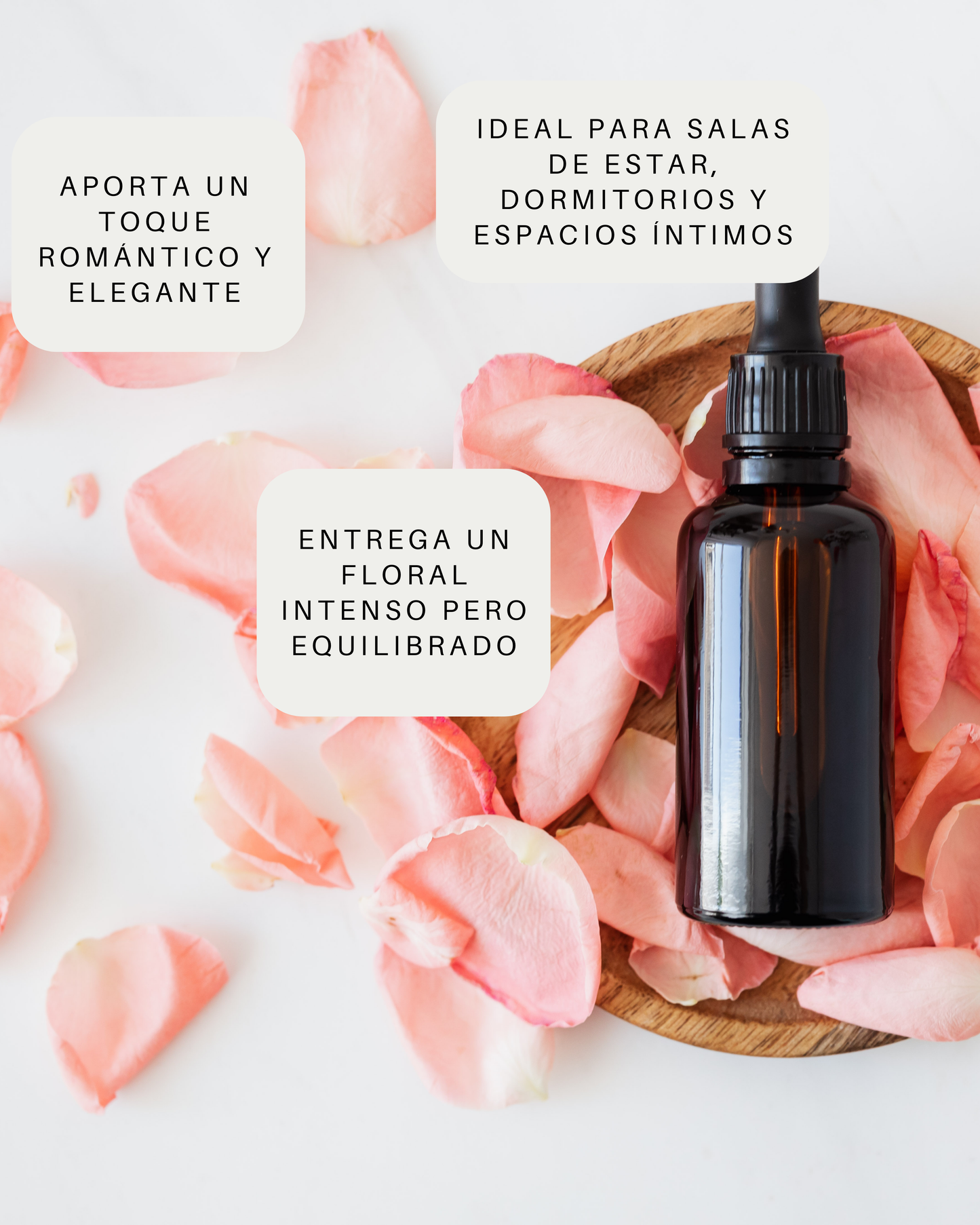 Aceite Esencial - Bulgaria Rose