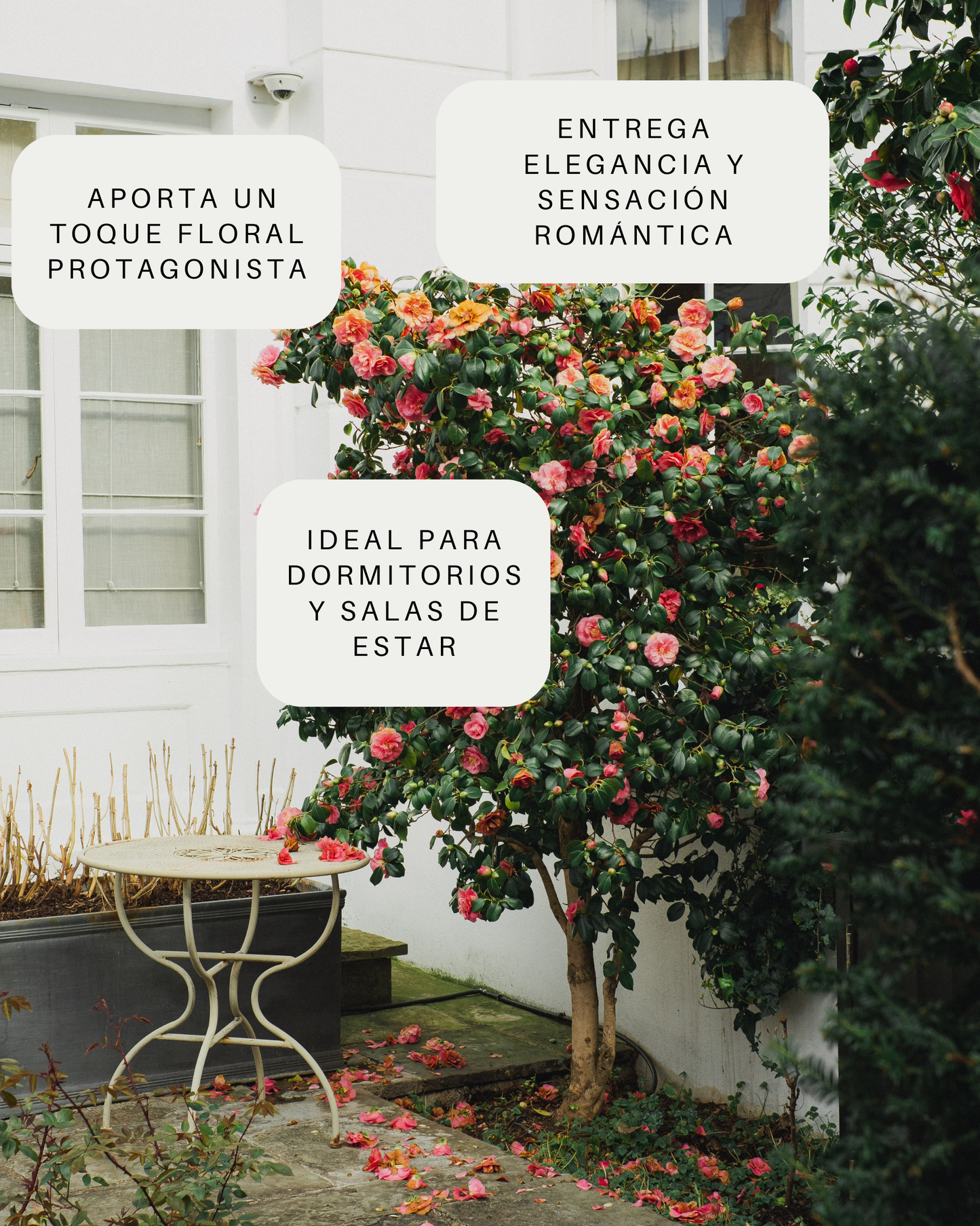 Aceite Esencial - Gardenia Imperial