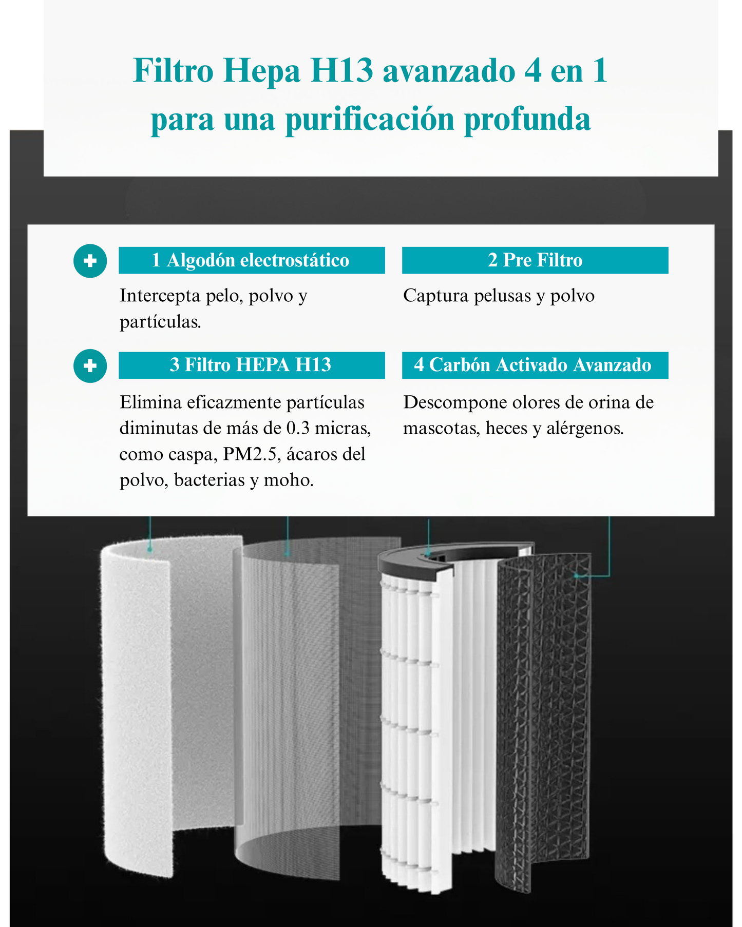 Filtro HEPA H13 Avanzado 4 en 1 para Family & Pet Pro