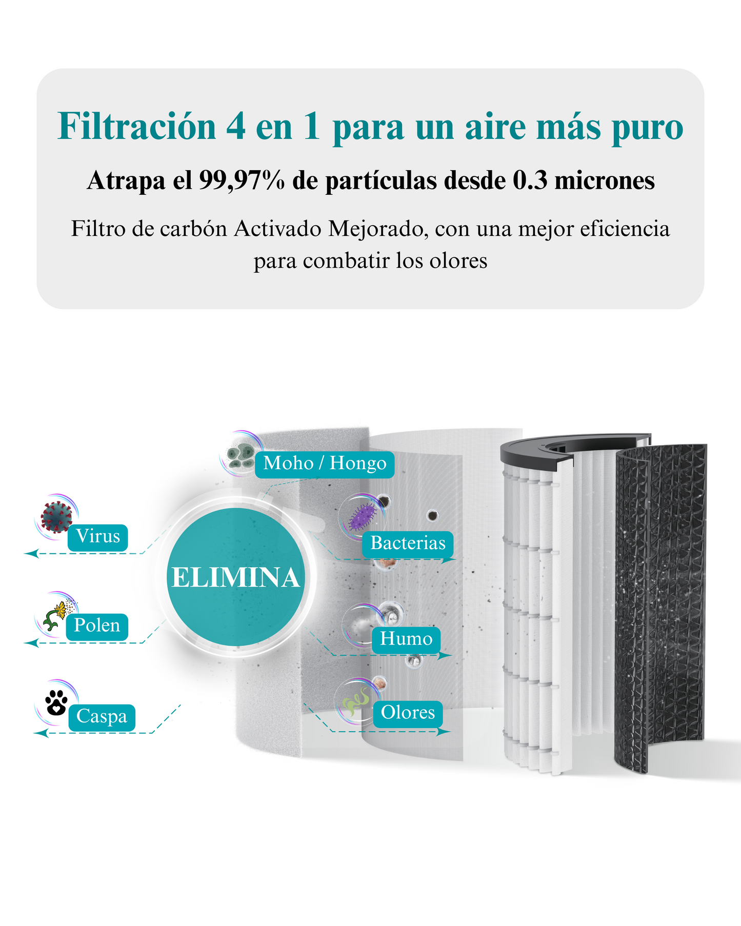 Filtro HEPA H13 Avanzado 4 en 1 para Family & Pet Pro