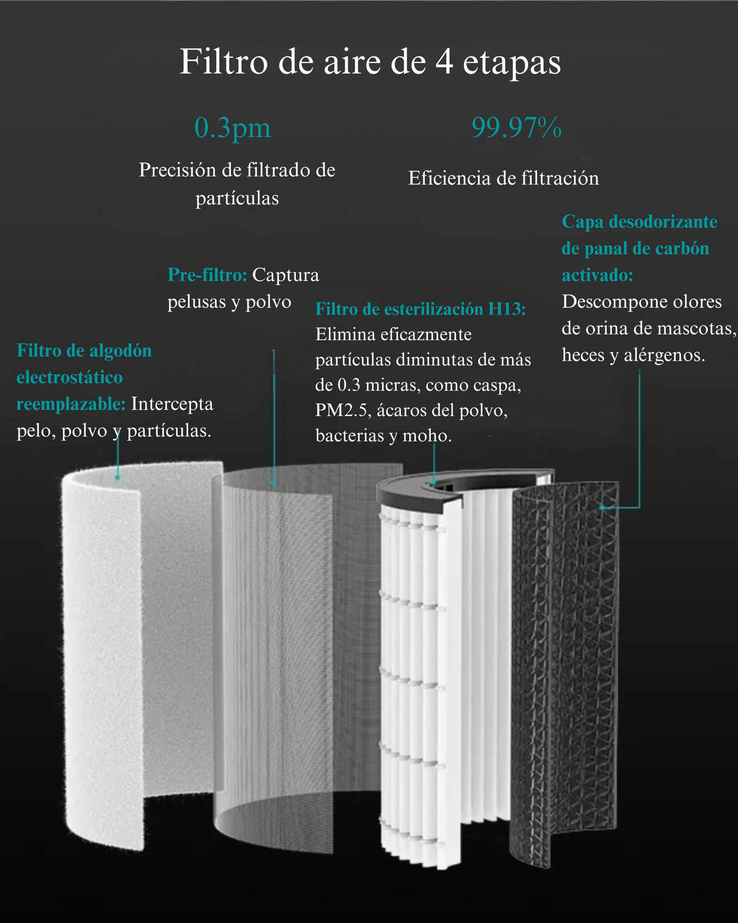 Filtro HEPA H13 Avanzado 4 en 1 para Family & Pet Pro