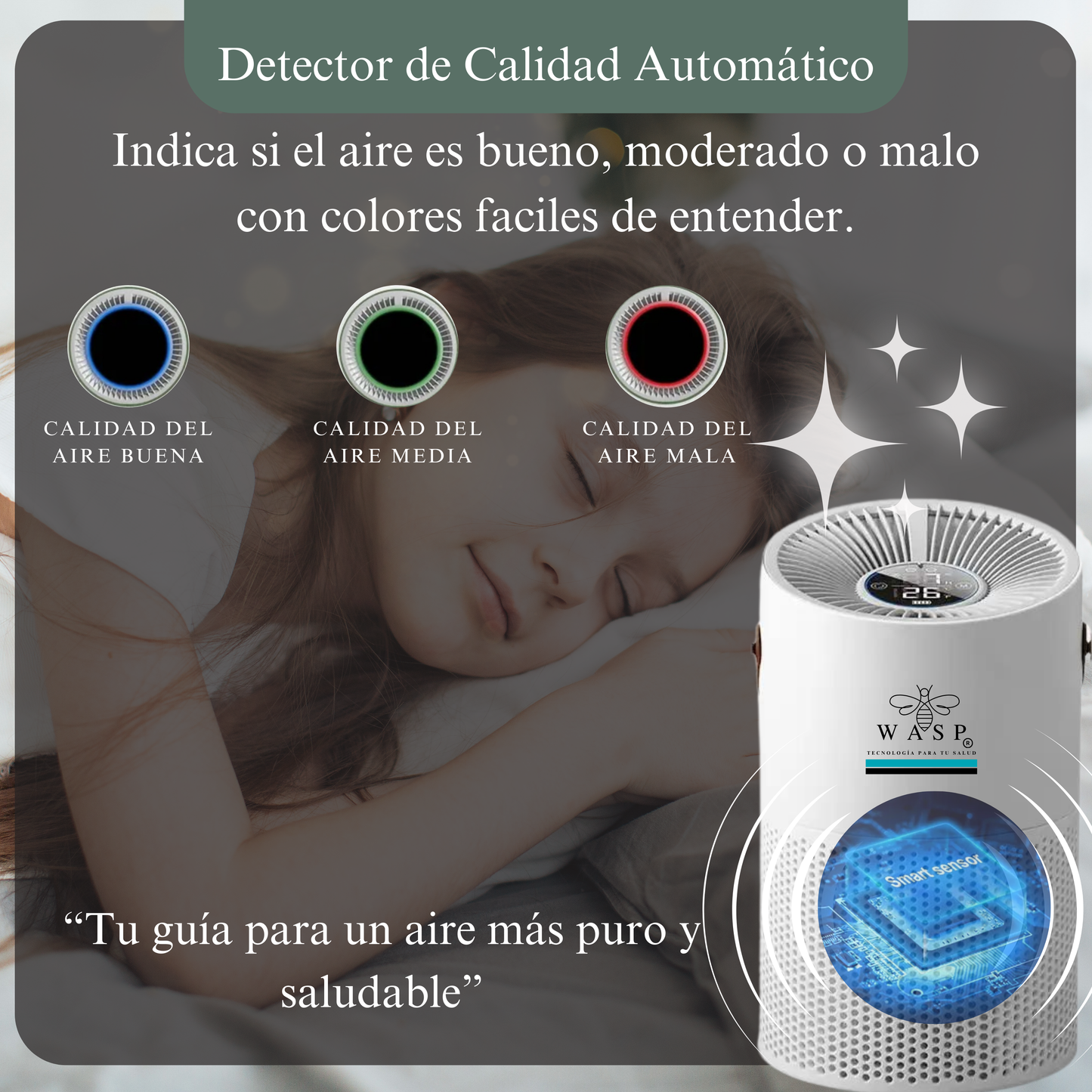Pack Alérgico: Purificadores Smart Wasp y Dual Home Pro / Solución Integral - MI WASP