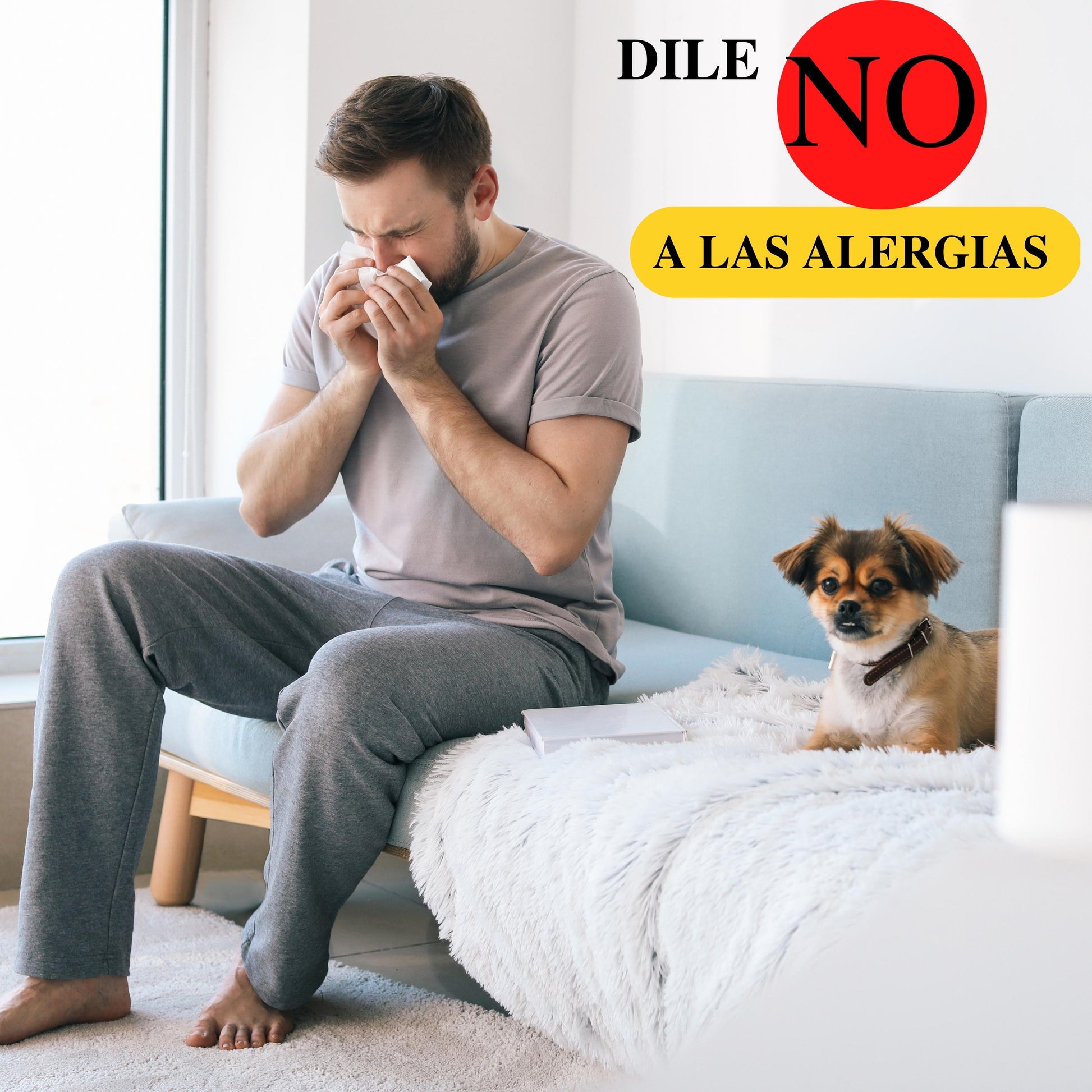 Purificador De Aire Smart Wasp - MI WASP