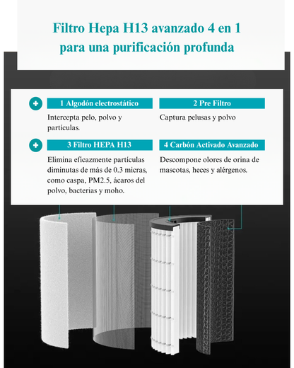 Filtro HEPA H13 Avanzado 4 en 1 para Family & Pet Pro